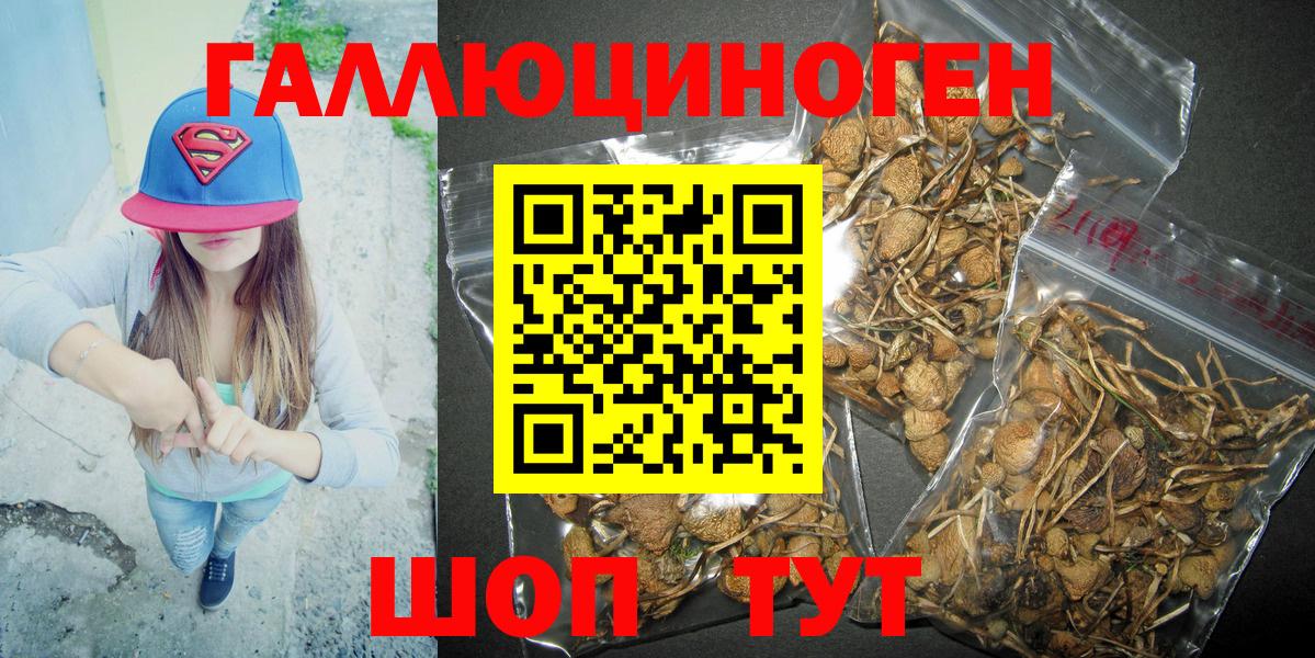 Псилоцибиновые грибы Cubensis Рузаевка